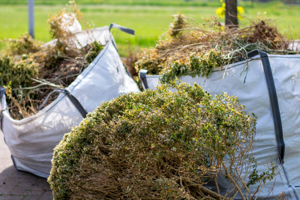 Best Electronics Removal Services  in Tremont, IL