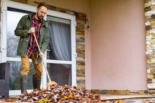 Best Affordable Junk Removal Services  in Tremont, IL